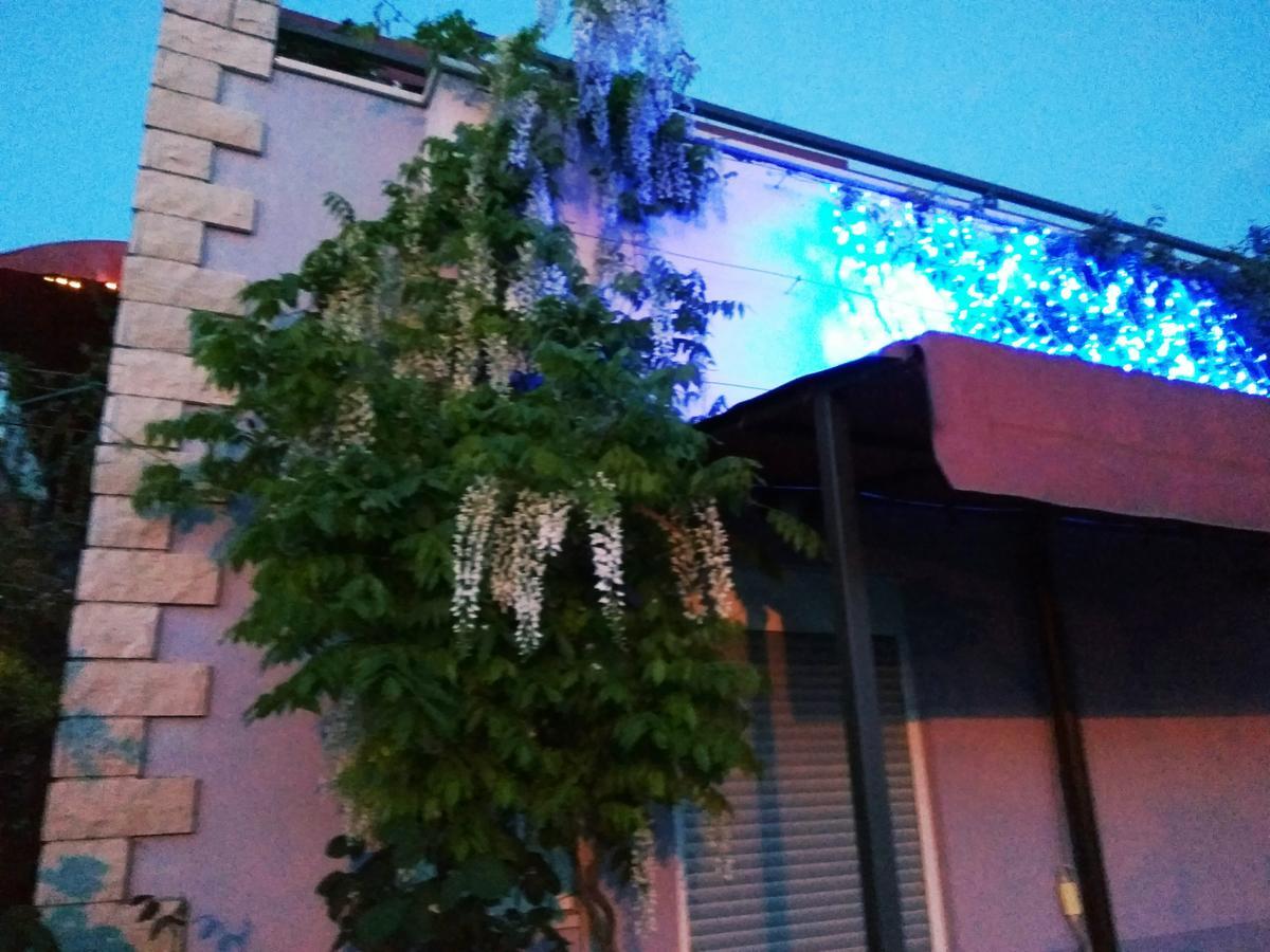 Aparthotel Viola Pjescana Uvala Zewnętrze zdjęcie